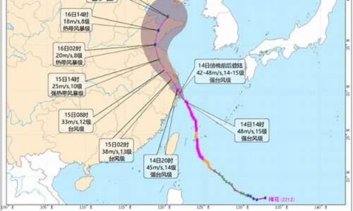 浙江台风路径实时_浙江台风路径实时路线图