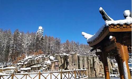 宝泉岭天气预报_宝泉岭天气预报7天查询结